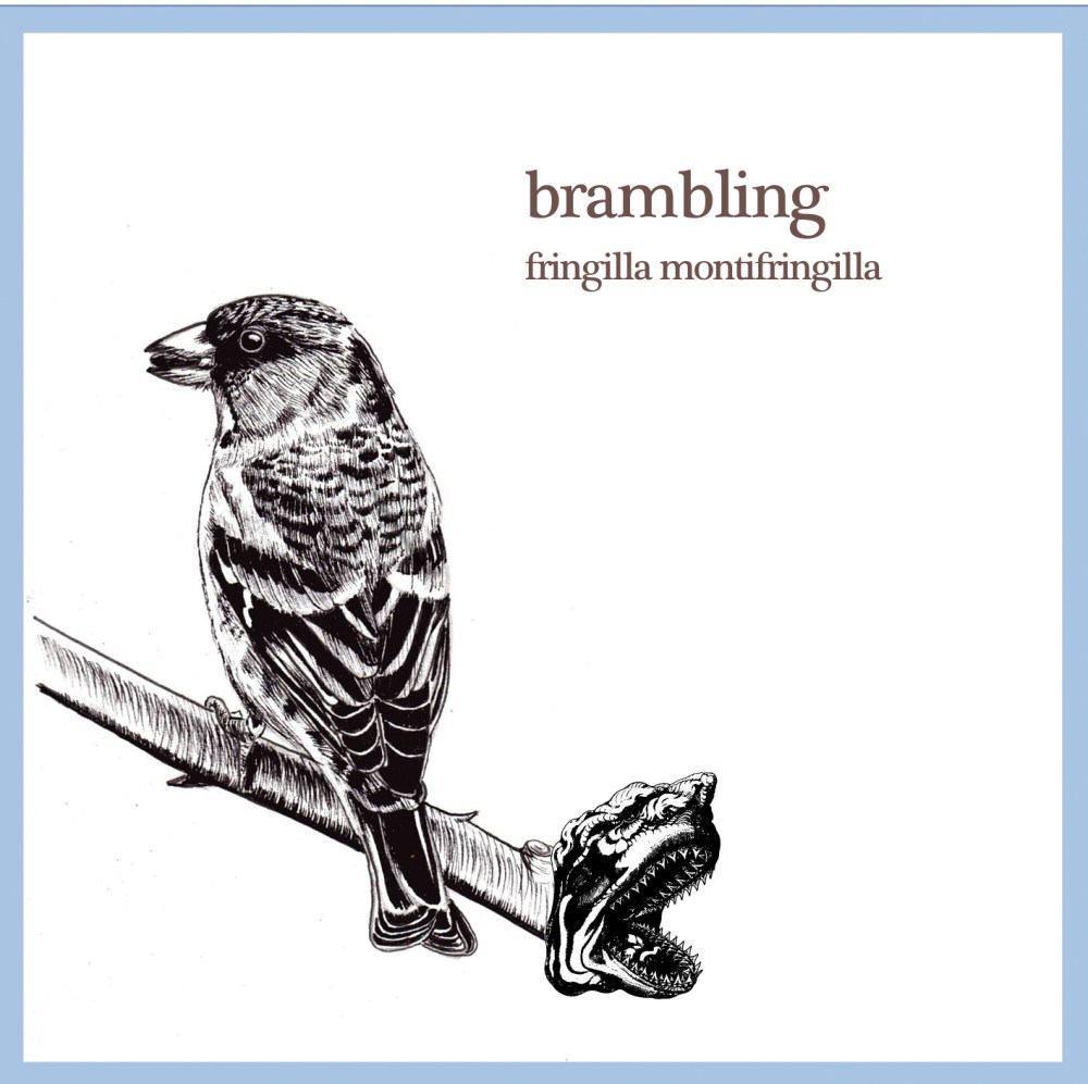 cd cover brambling cropped